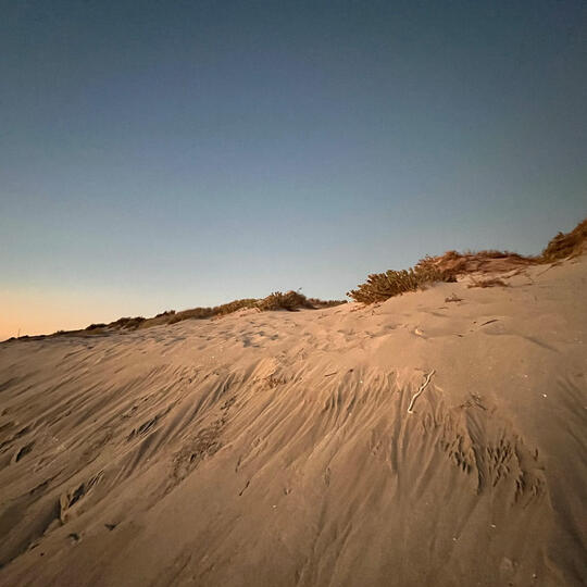 Photo of a sandune at sunset